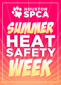 heat-safety-week